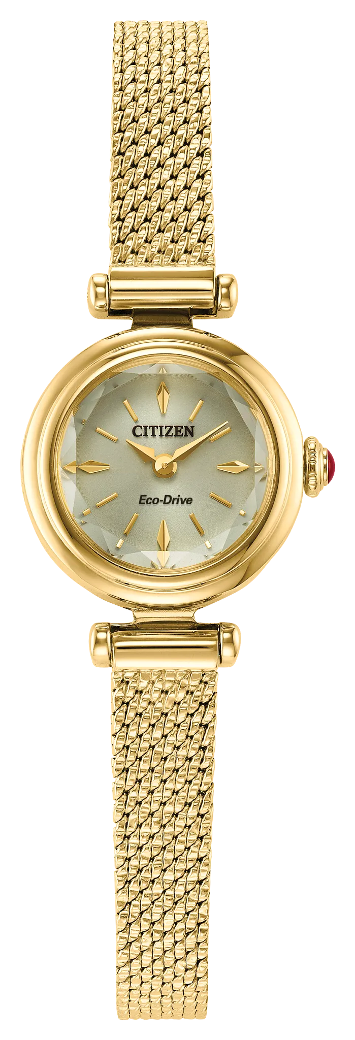 Citizen Ladies Gold Eco-Drive